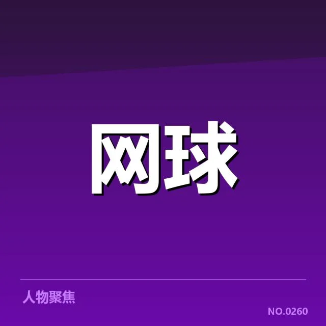 已确认的红土场地技术特点
